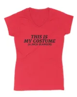 Women's V-Neck T-Shirt Women's V-Neck T-Shirt